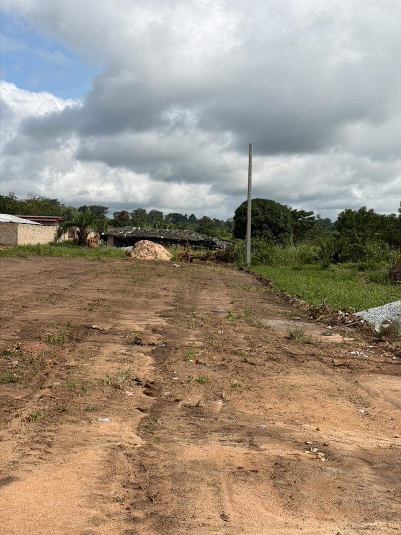 Terrain viabilisé à Bonzi - Yamoussoukro