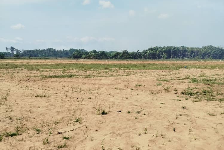 Vente et Topographie de Parcelles